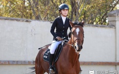 国内外爱鲁吧免费网